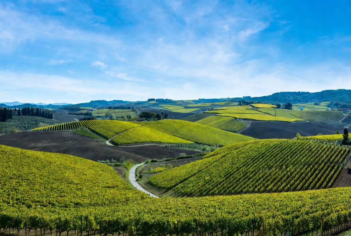 Renting a Car in Tuscany: The Honest Guide (2026)
